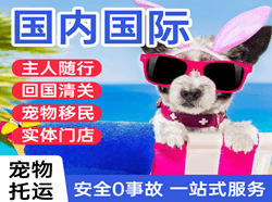 海拉尔航空物流国际宠物托运 【国